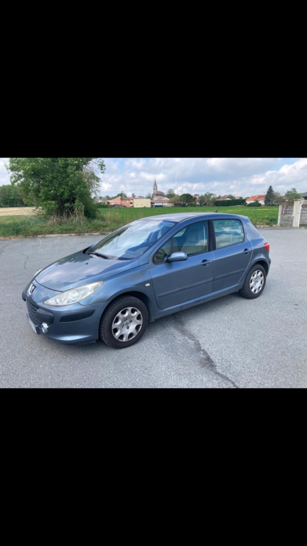 PEUGEOT 307 1.6 HDI 90cv