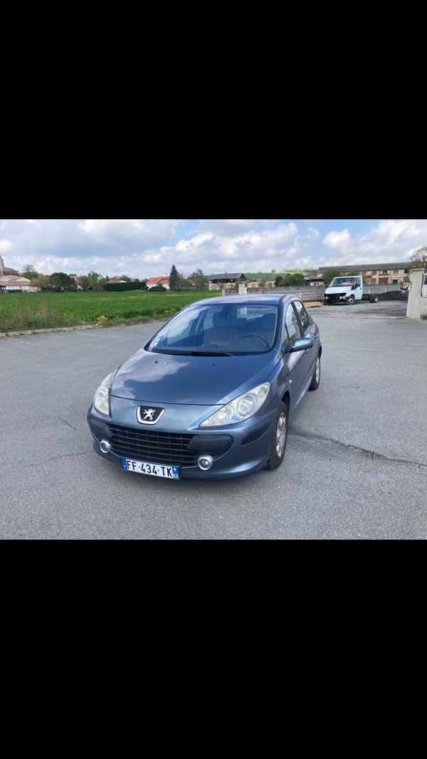 PEUGEOT 307 1.6 HDI 90cv – Image 3